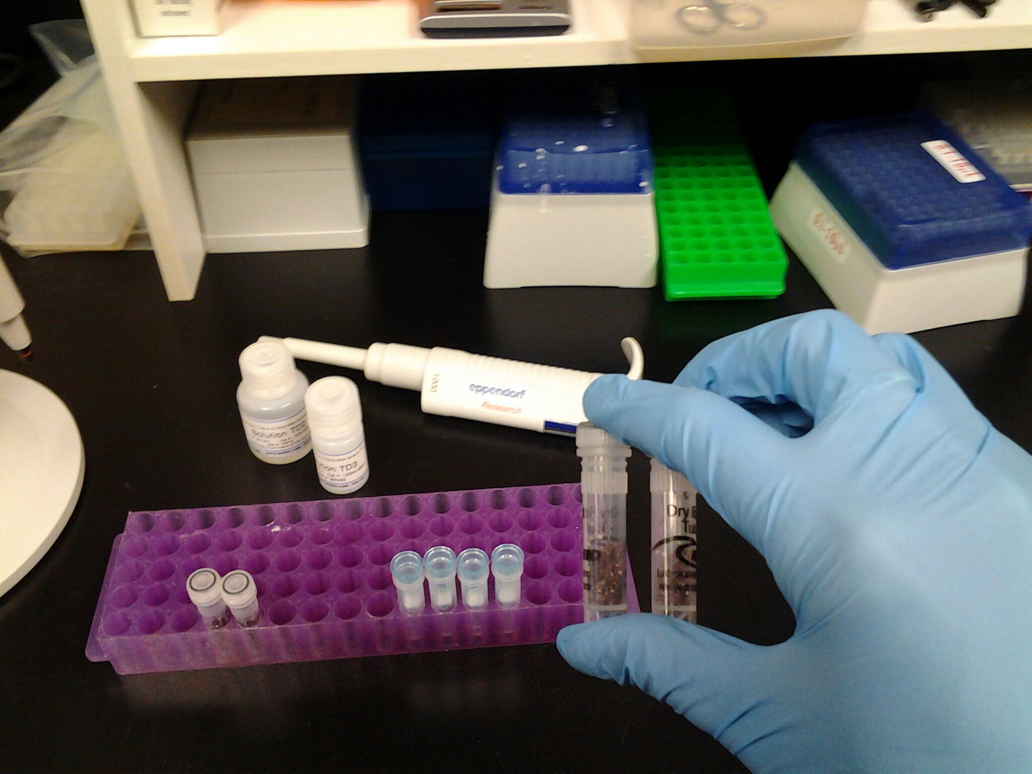 DNA Extraction