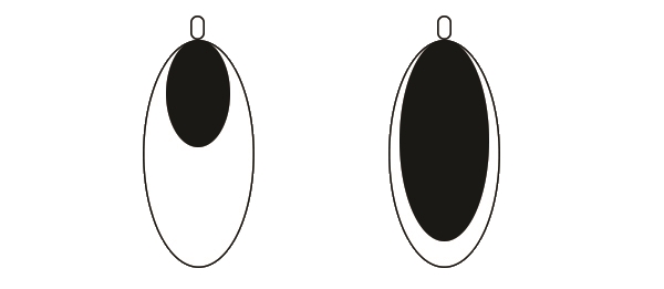 Male and Female Dorsal Shields Male and Female Dorsal Shields