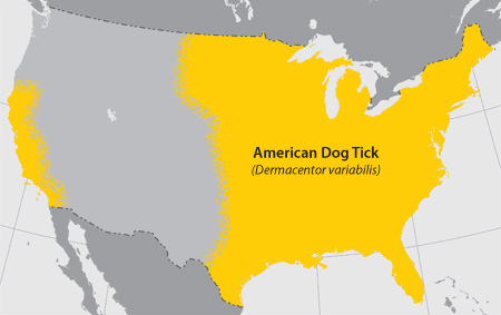 Map of American Dog Tick distriubtion