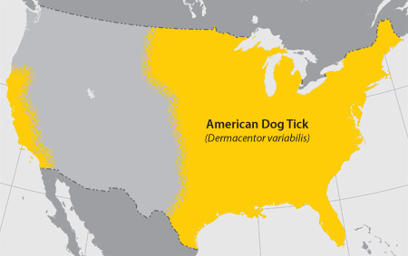 Map of American Dog Tick distribution Map of American Dog Tick distribution