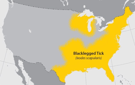 Map of Deer Tick distribution
