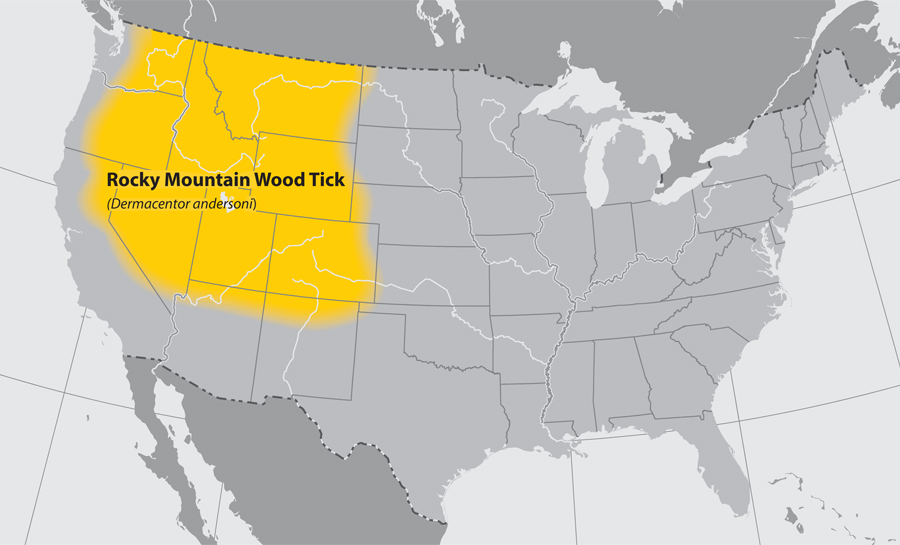 Map of Rocky Mountain wood tick