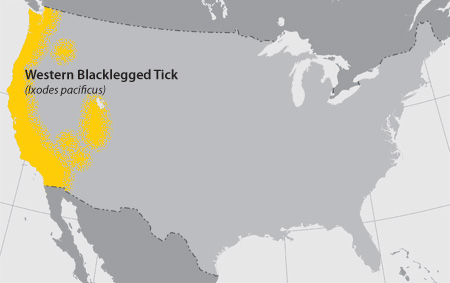 Map of Western Black Legged Tick distribution