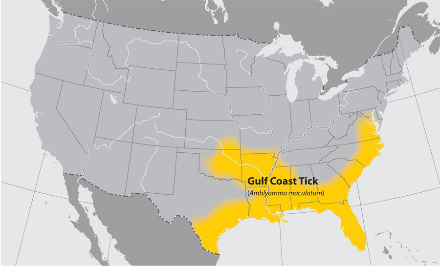 Approximate distribution of the Gulf Coast tick Approximate distribution of the Gulf Coast tick